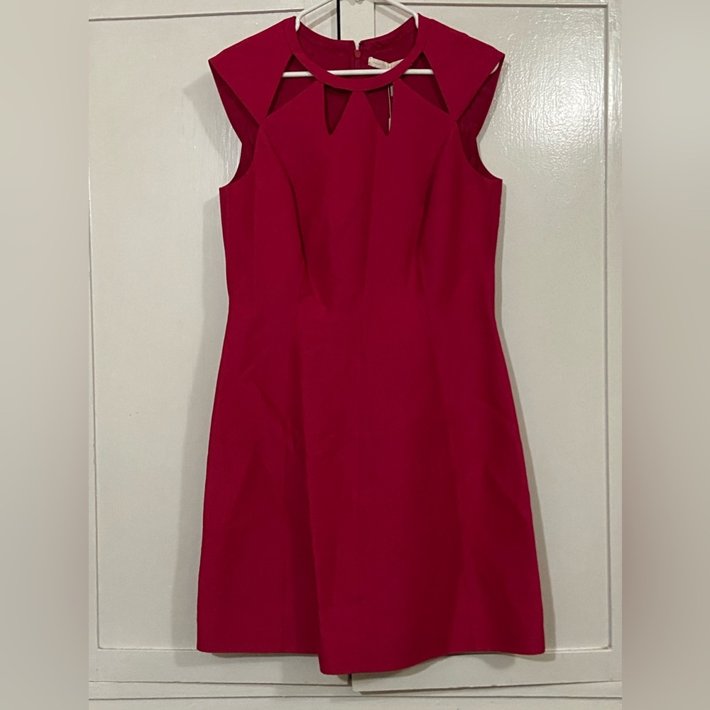 Halston Heritage Pink A-Line Cutout Dress - Picture 4 of 10
